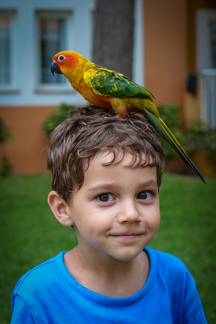 Aplicativo para ganho rápido via pix sem precisar pagar