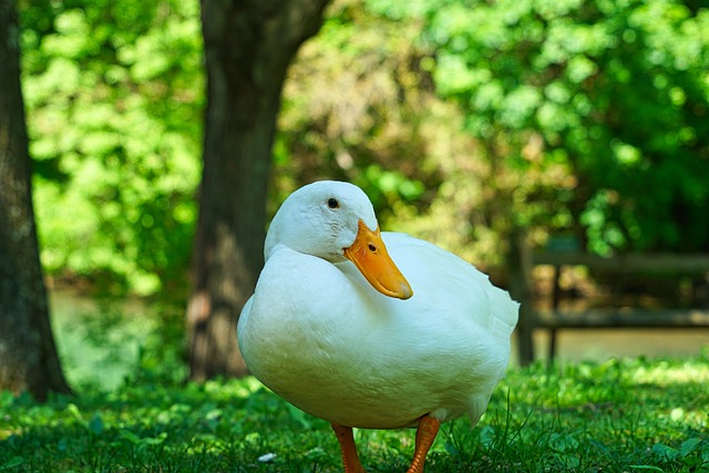 Foto do arquivo: fornecida por 【resultado da lotofácil de sexta para sábado】