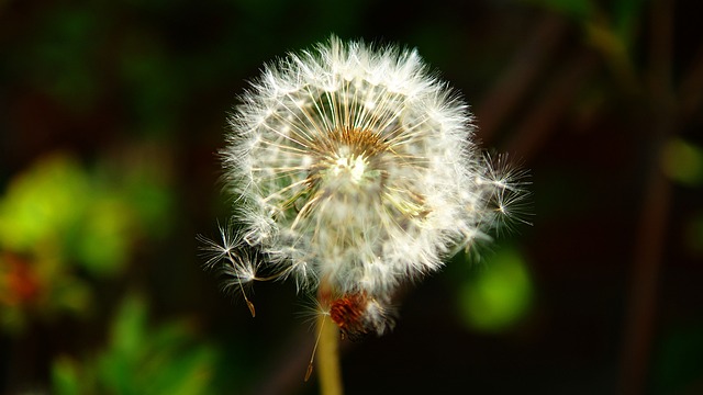 Foto do arquivo: fornecida por 【wildtornado】