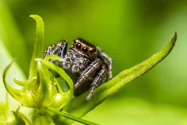 Foto do arquivo: fornecida por 【como ganhar no wild bandito】