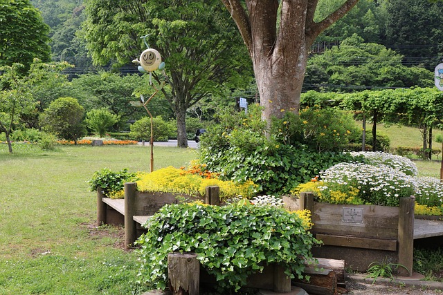 loterias caixa bolão