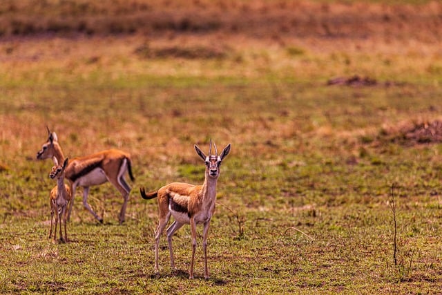 Foto do arquivo: fornecida por 【resultado da lotofácil 20 de novembro】