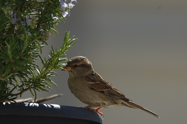 Foto do arquivo: fornecida por 【login bet365】