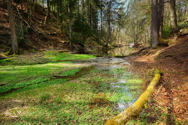 Plataforma mais ativa em pagamentos de prêmios