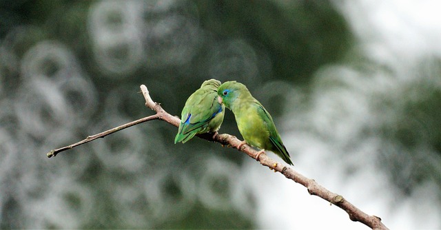 Foto do arquivo: fornecida por 【Resultado do sorteio de hoje da Quina】