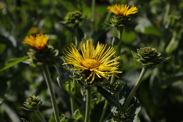 óculos de sol blaze