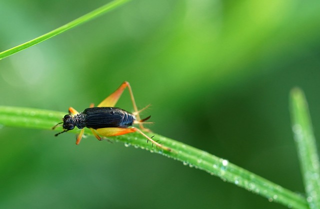 Foto do arquivo: fornecida por 【volante mega sena para imprimir】