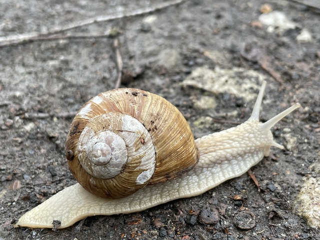 Foto do arquivo: fornecida por 【resultado da lotofácil de hoje no giga sena】