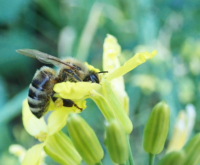 Foto do arquivo: fornecida por 【Palpites de sorte para o bicho nacional】