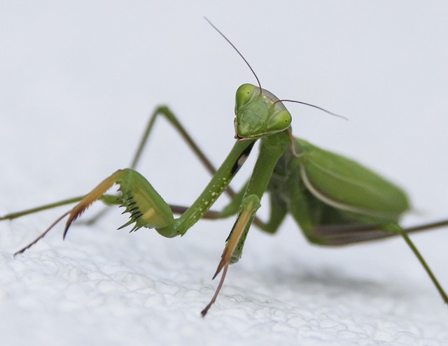 Foto do arquivo: fornecida por 【jeito de ganhar dinheiro pela internet】