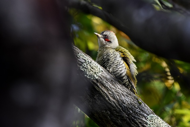 Foto do arquivo: fornecida por 【casino bet365】