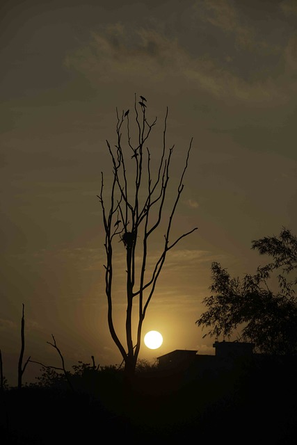 Foto do arquivo: fornecida por 【bolão da caixa quina】