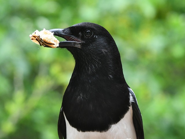 Foto do arquivo: fornecida por 【qual é os números da lotofácil de hoje】