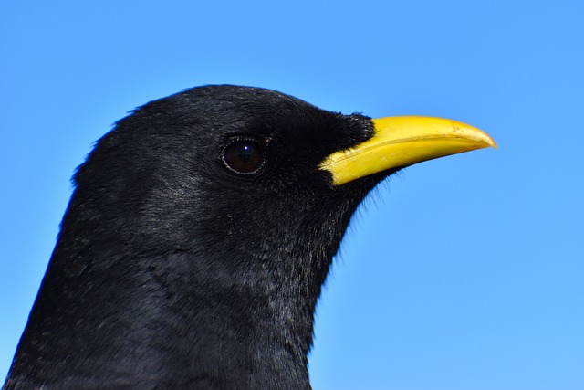 Foto do arquivo: fornecida por 【resultado da loteria federal de sabado 18 horas】