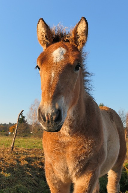 Foto do arquivo: fornecida por 【no deposit bonus】