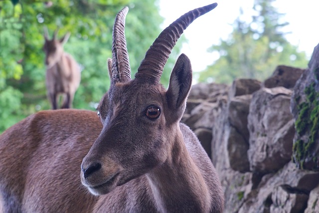 Foto do arquivo: fornecida por 【realsbet cassino】