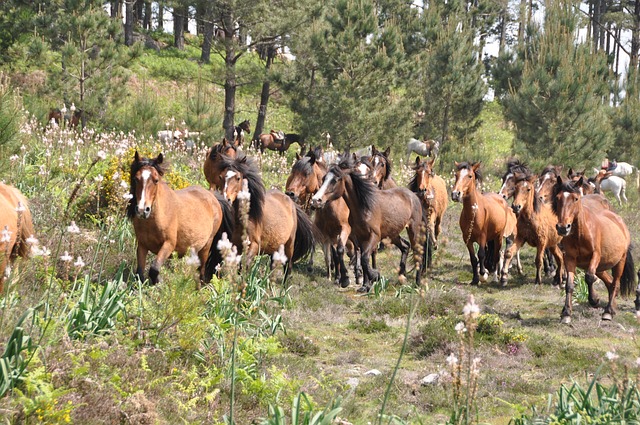 Foto do arquivo: fornecida por 【resultado da quina concurso 116】