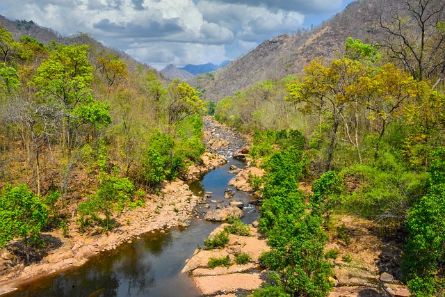 jogo de manobra de caminhão