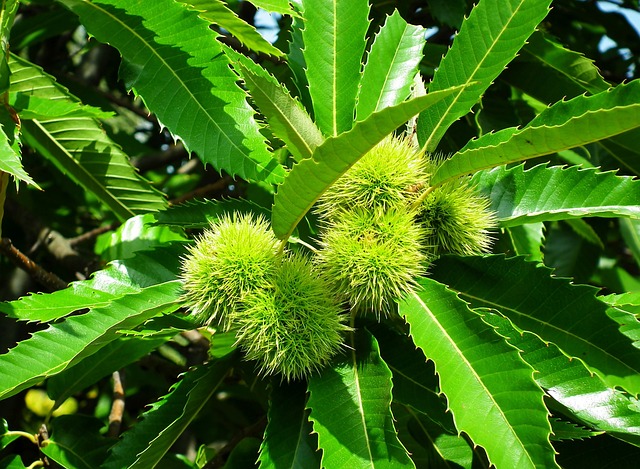 Foto do arquivo: fornecida por 【quantos número ganha na lotofácil】