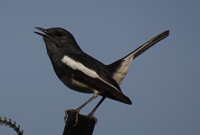 Foto do arquivo: fornecida por 【resultado da quina 21 11】