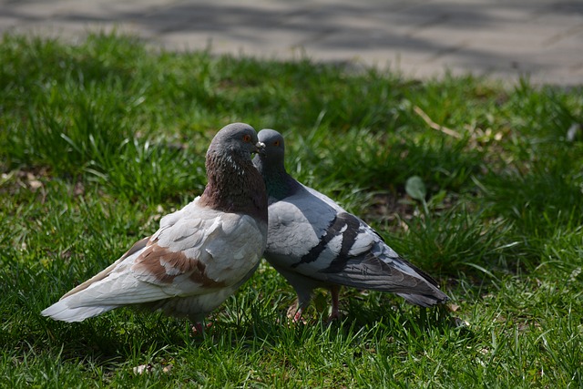 Foto do arquivo: fornecida por 【resultado lotofácil concurso 1225】