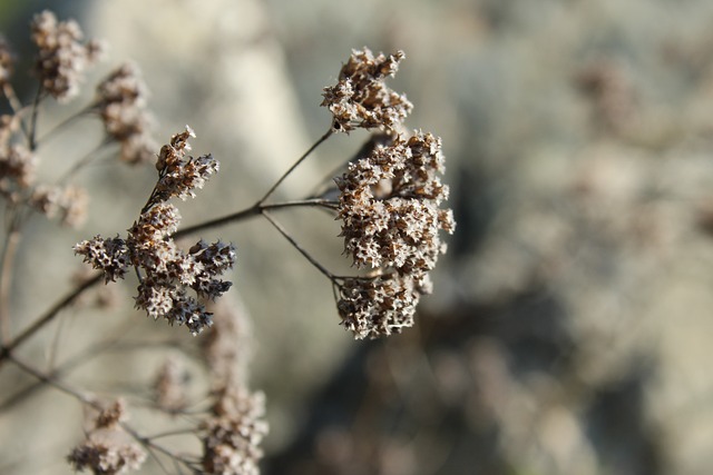 Foto do arquivo: fornecida por 【bcgame】