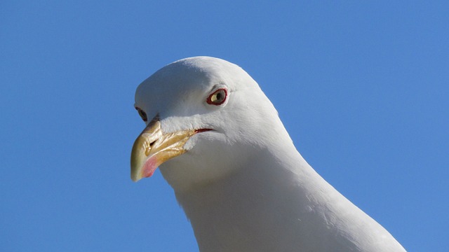 Foto do arquivo: fornecida por 【como foi o jogo ontem】