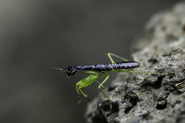 Foto do arquivo: fornecida por 【joguinho que ganha dinheiro】