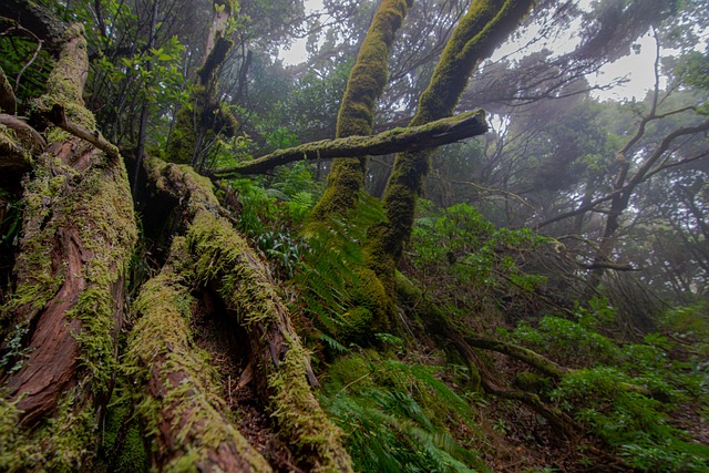 Foto do arquivo: fornecida por 【quanto paga na lotofácil】