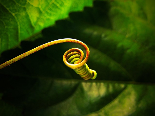 Foto do arquivo: fornecida por 【ri valo】