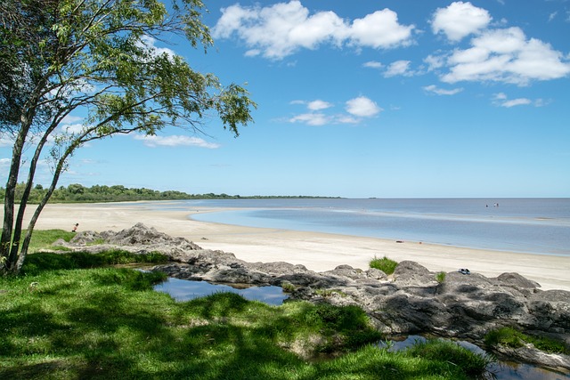 Foto do arquivo: fornecida por 【kto brasil】