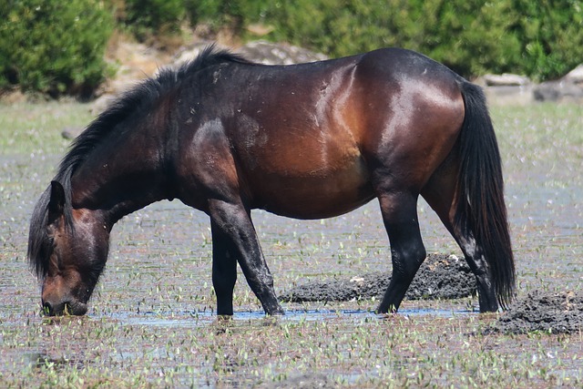 Foto do arquivo: fornecida por 【bet265】