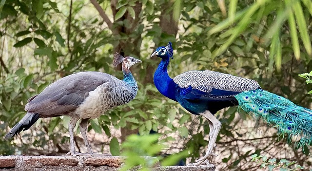 Foto do arquivo: fornecida por 【resultado lotofácil 1454】