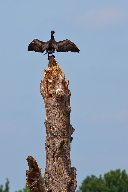 Foto do arquivo: fornecida por 【resultado da loteria dos sonhos de 10】