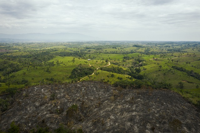 Foto do arquivo: fornecida por 【BETESPECIAL】