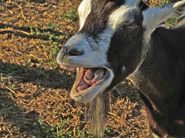 Foto do arquivo: fornecida por 【esporte da sorte login】