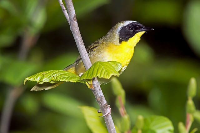 Foto do arquivo: fornecida por 【loja bet365】