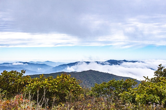 Foto do arquivo: fornecida por 【genting casino online】