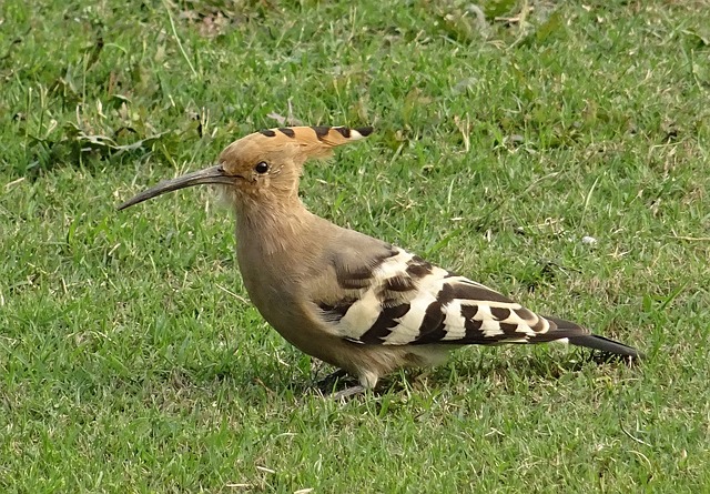 Foto do arquivo: fornecida por 【resultado jogo bicho das 21 horas】