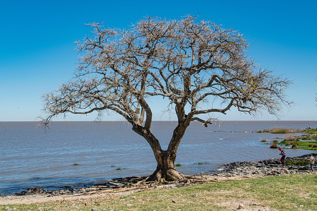 foz do iguaçu