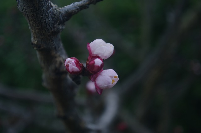 Foto do arquivo: fornecida por 【incontestável】