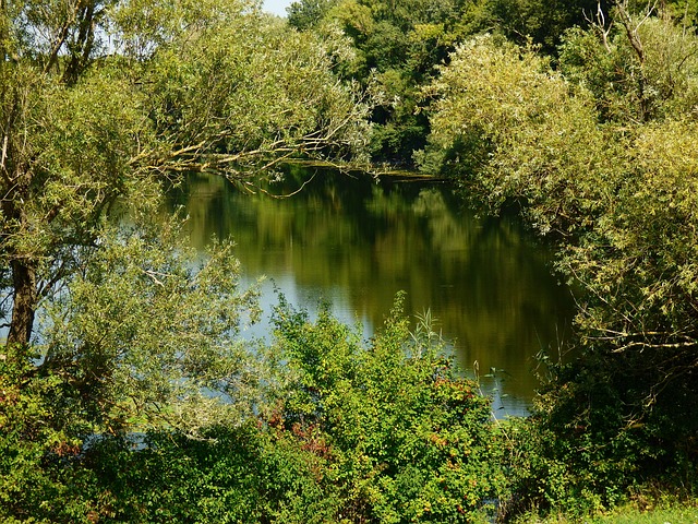 castelo de fogo