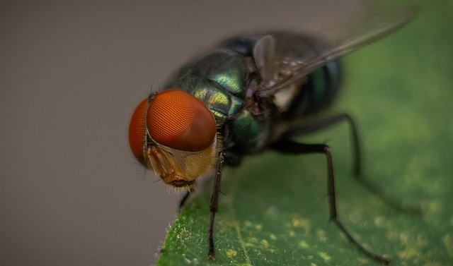 Foto do arquivo: fornecida por 【Resultado do concurso da Quina da semana】