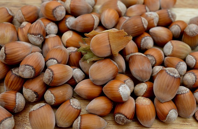 Foto do arquivo: fornecida por 【resultado da quina da loto】