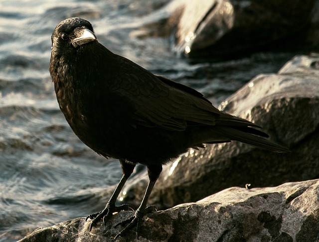 Foto do arquivo: fornecida por 【estrela bet.com.br login】