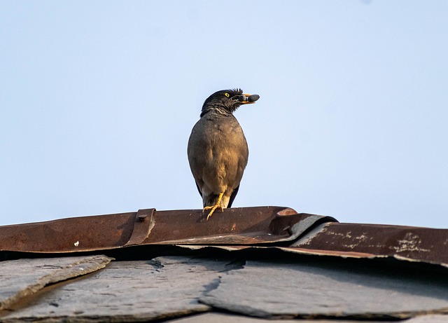 Foto do arquivo: fornecida por 【resultado do número da quina de ontem】