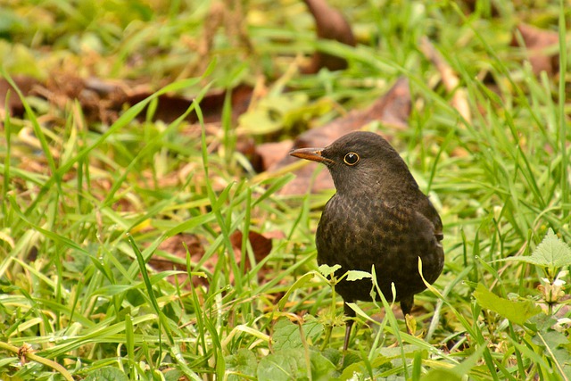 Foto do arquivo: fornecida por 【lotofácil concurso 1657】