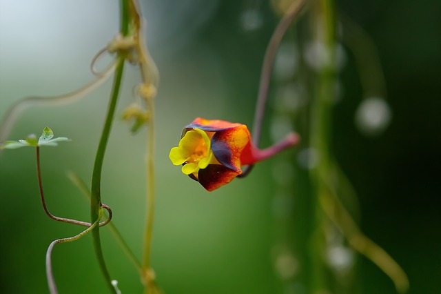 Foto do arquivo: fornecida por 【wild tornado slot】