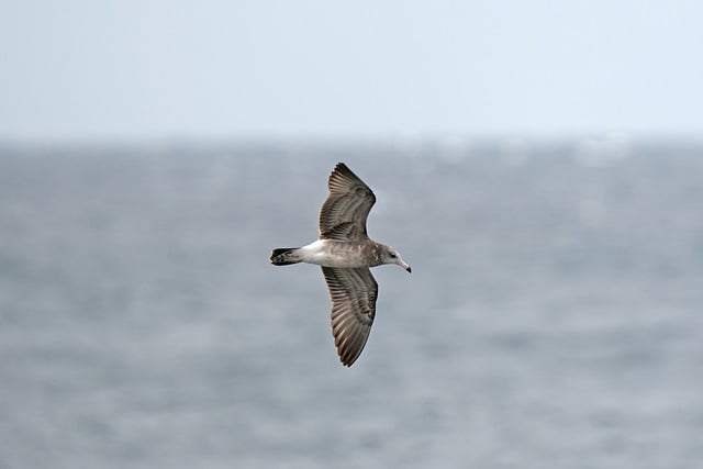 Foto do arquivo: fornecida por 【Resultado completo de hoje da Lotofácil】