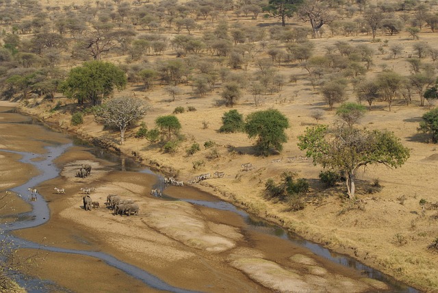 jogo de carreira de cavalo